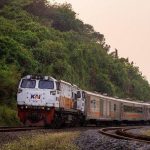 Dirayu Jokowi dan Luhut Agar Investasi di Indonesia, Elon Musk Pilih Malaysia Bangun Pabrik Tesla